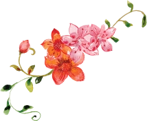 Modern Residential Building