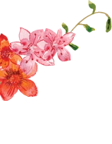 Modern Residential Building