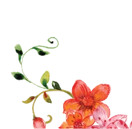 Modern Residential Building